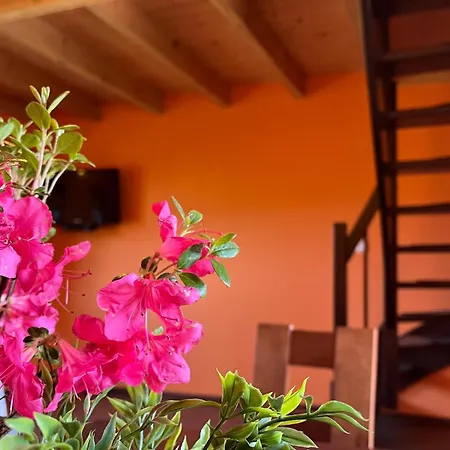 In With View בית נופש Podamirowo